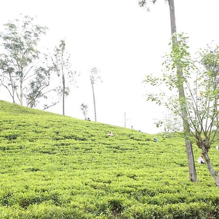 Ella Tea Land View公寓 外观 照片