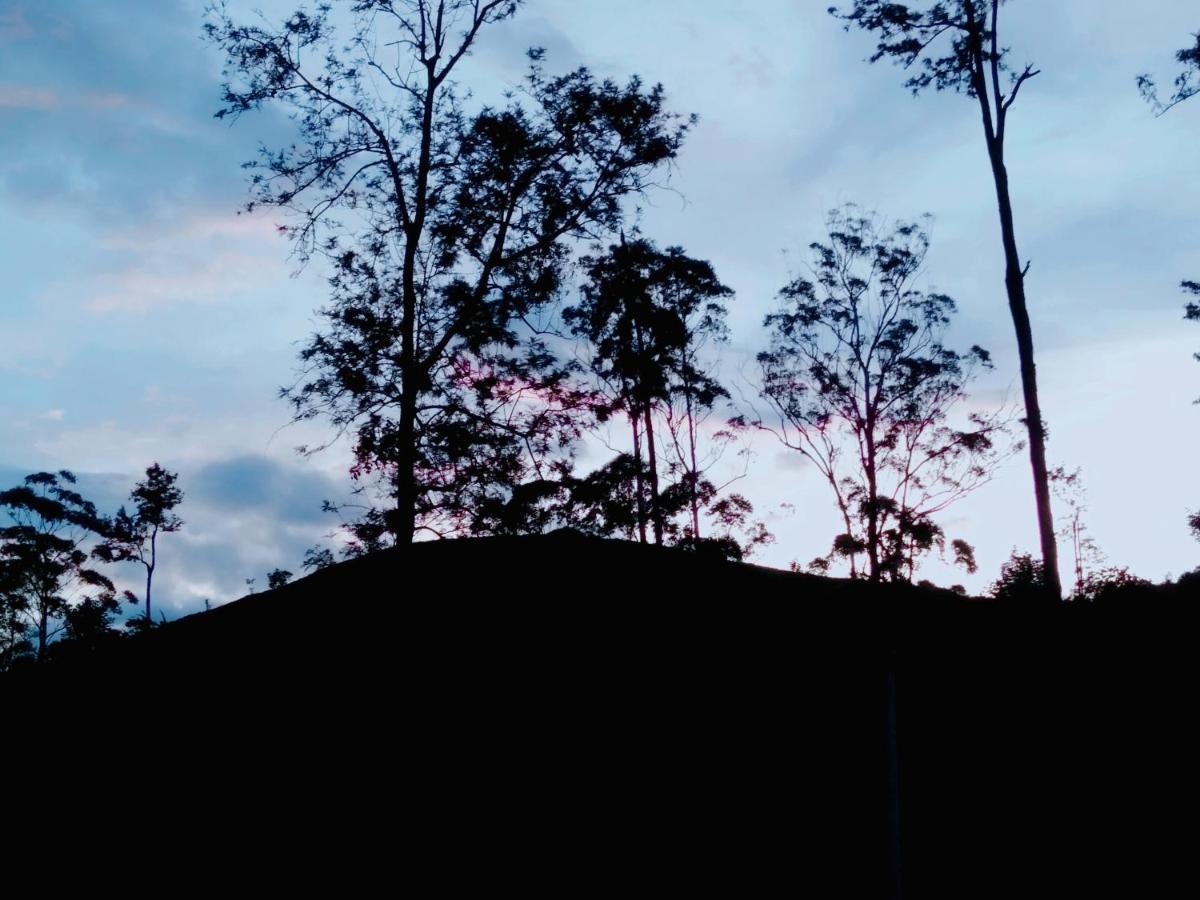 Ella Tea Land View公寓 外观 照片