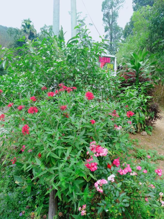 Ella Tea Land View公寓 外观 照片