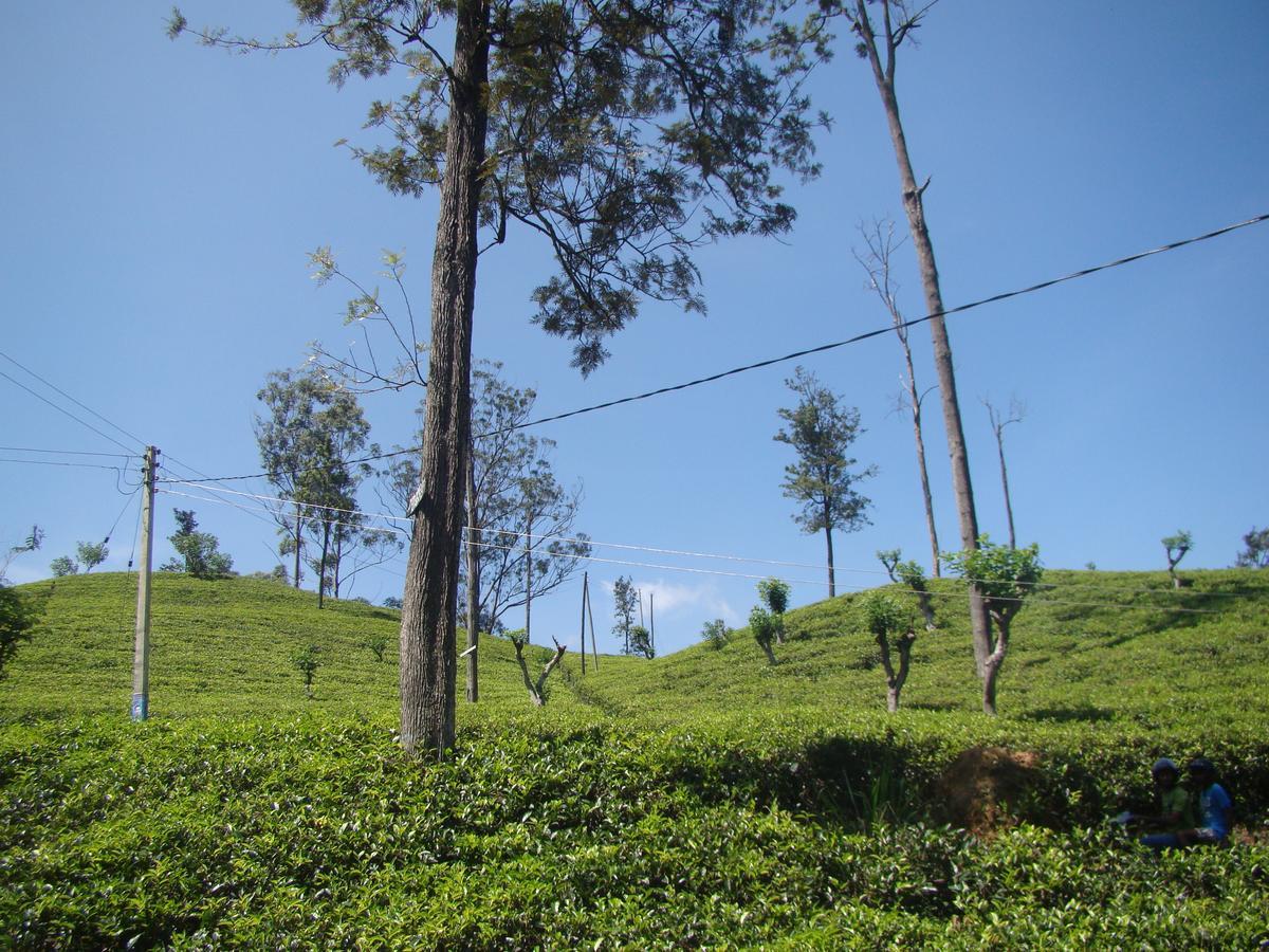Ella Tea Land View公寓 外观 照片
