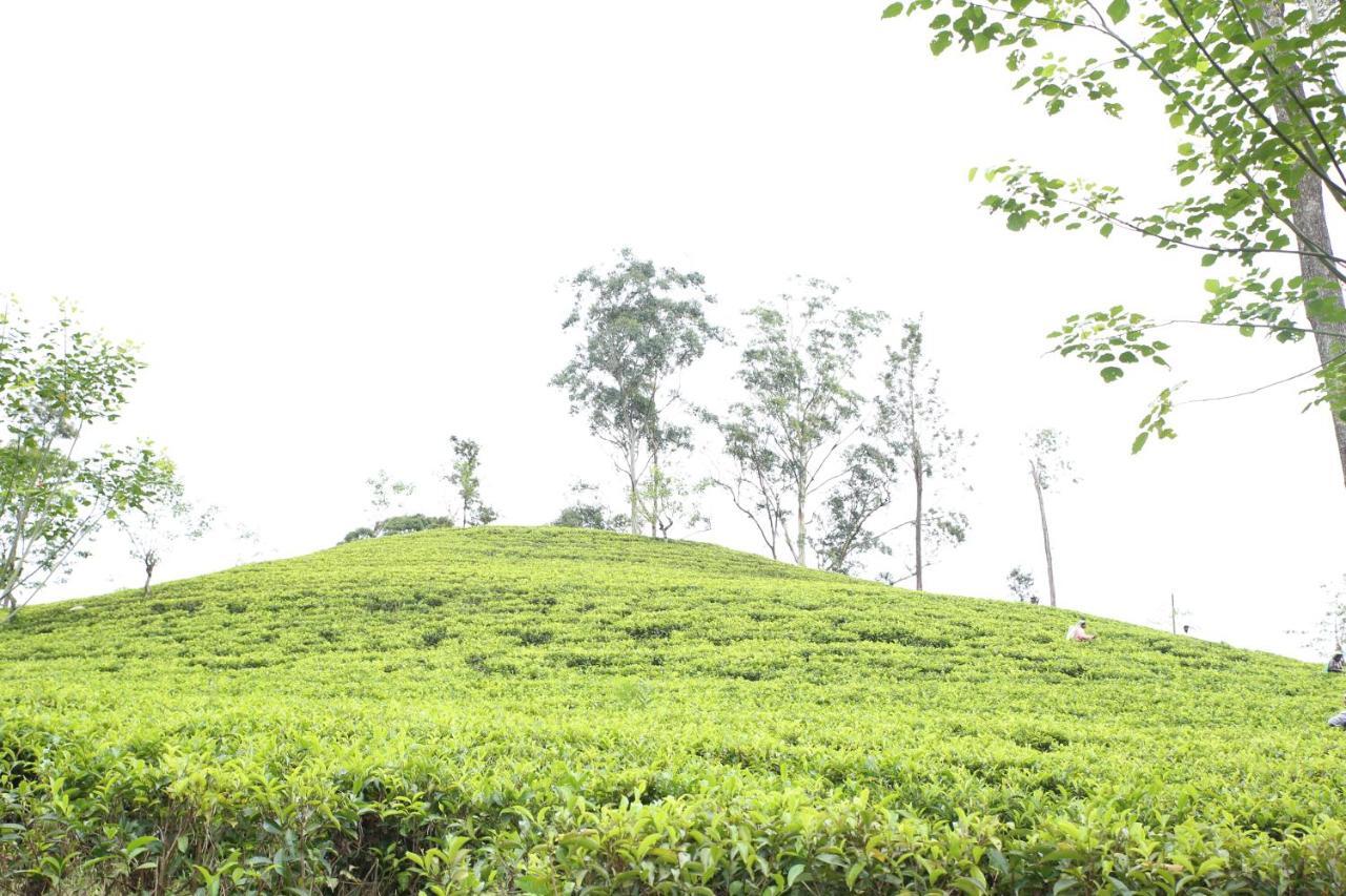 Ella Tea Land View公寓 外观 照片